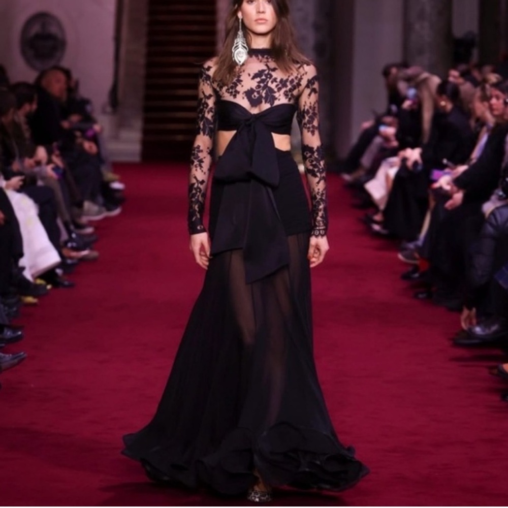 Zimmermann Extraordinary Dress Illustration Black